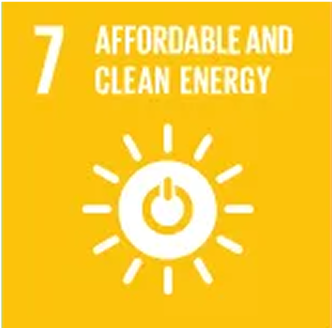 Goal 7